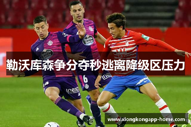 勒沃库森争分夺秒逃离降级区压力