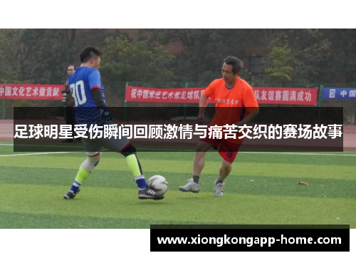 足球明星受伤瞬间回顾激情与痛苦交织的赛场故事